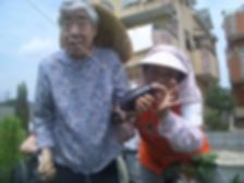 畑収穫①.jpg
