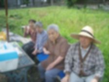 畑収穫②.jpg