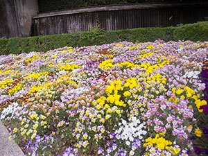 0520-3.jpg