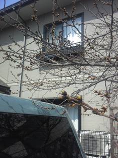 140312_105727.jpg