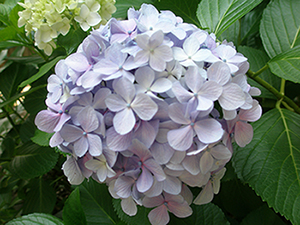 20140411-1.jpg