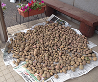 20140701imo.jpg