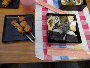 DSC00351.JPG