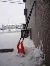 DSC01012.JPG