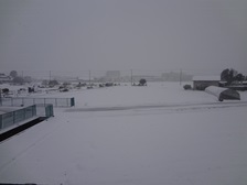DSC01013.JPG