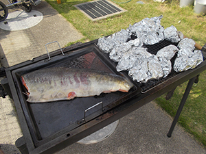 DSCN2017.JPG