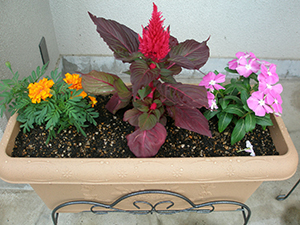 P8020058.JPG