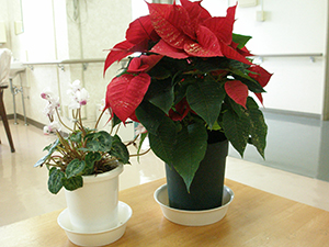 PB030086.JPG