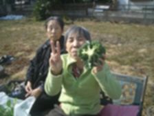 hatake03.jpg
