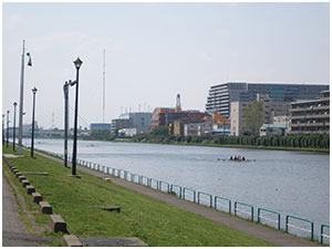 toda.jpg