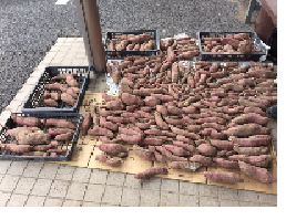 無題.pngのサムネイル画像